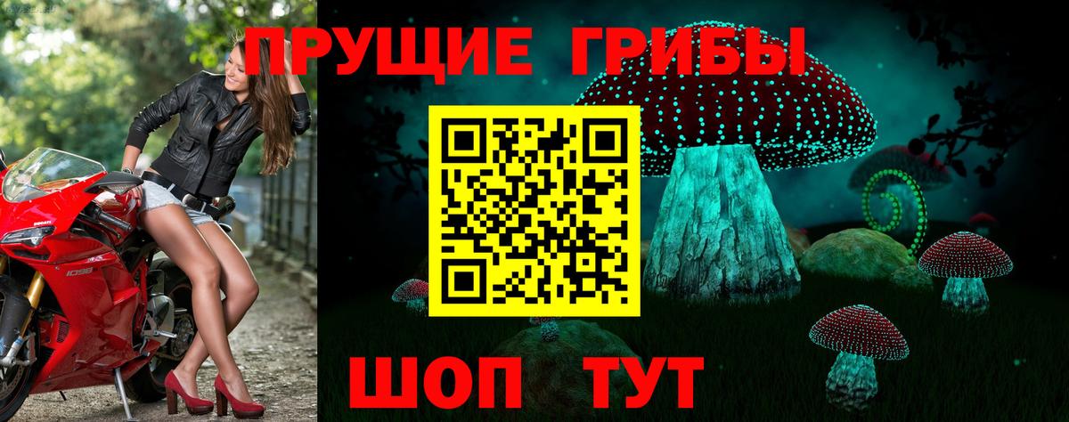 Галлюциногенные грибы ЛСД Всеволожск