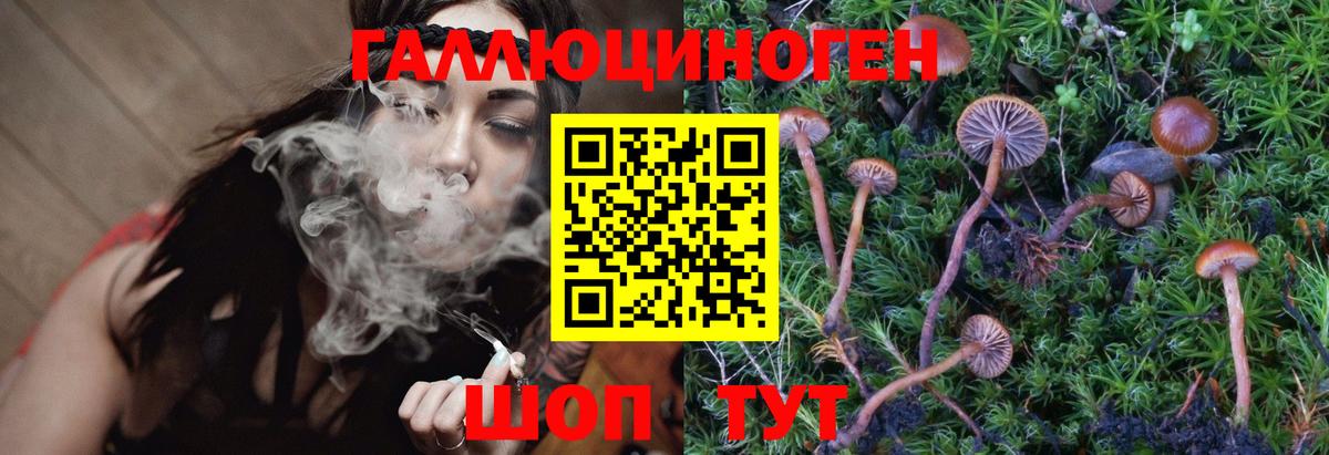 Всеволожск  Галлюциногенные грибы MAGIC MUSHROOMS  Вход с VPN 